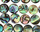 Abalone Puff Coin 12mm