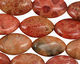 Fossil Coral (rose) Horse Eye 20x12mm