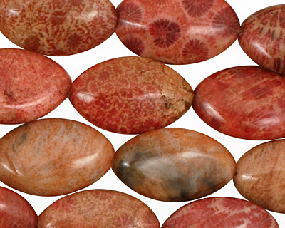 Fossil Coral (rose) Horse Eye 20x12mm
