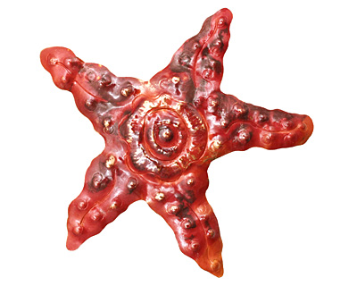 Patricia Healey Copper Starfish w/ Spiral Pendant 76-78mm