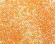TOHO Jonquil (with Burnt Orange Lining) Treasure #1 Seed Bead