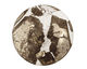 Golden Pyrite (silver tone in resin) Coin Pendant 40mm