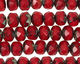 Czech Glass Siam Ruby Picasso Fire Polished Rondelle 6x9mm