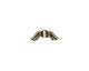 TierraCast Antique Brass (plated) Small Angel Wings 5x14mm