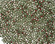 TOHO Olivine (with Frosted Silver & Pink Lining) Round 11/0 Seed Bead