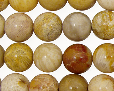 Fossil Coral Round 12mm