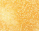 TOHO Milky Light Topaz (with Silver Lining) Round 15/0 Seed Bead