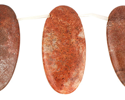 Fossil Coral (red) Flat Oval Drop 25x50mm