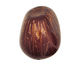 Tagua Nut Peony Nugget 40-45x32-36mm