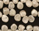 Pearly White Keishi Drop 8-9x-12mm