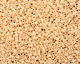 TOHO Opaque Pastel Frosted Apricot Treasure #1 Seed Bead