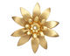 Brass Daffodil 34mm