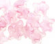 Czech Glass Ballerina 2-Hole Flower 11x13mm