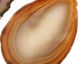 Agate Freeform Round Cabochon 44-56x54-66mm