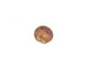 Gaea Ceramic Hyacinth Organic Round 9-10x12-13mm