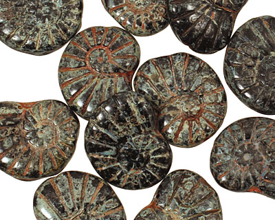 Czech Glass Jet Picasso Ammonite 20x13mm
