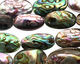 Abalone Freeform Puff Oval 15-21x9-14mm