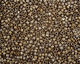 TOHO Frosted Metallic Iris Brown Treasure #1 Seed Bead