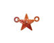 Patricia Healey Copper Star Link 22x15mm