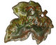 C-Koop Enameled Metal Fern Green Large Maple Leaf 40x46mm