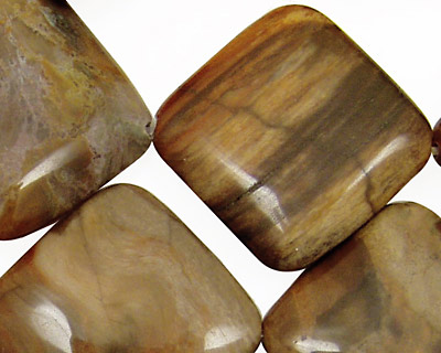 Madagascar Petrified Wood Diamond 25mm