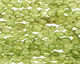 Peridot Irregular Flat Oval 5-6x4-5mm