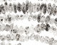 Tourmilated Quartz Faceted Nugget 3-5x9-10mm