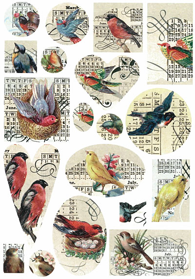 Nunn Design Birds Collage Sheet