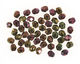 Czech Fire Polished Glass Iris Purple Round 4mm