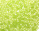 TOHO Transparent Frosted Lime Green Round 8/0 Seed Bead