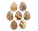 Picture Jasper Flat Teardrop Pendant 22x30mm
