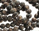 Turritella Agate (matte) Round 5-6mm
