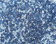 TOHO Aqua (with Capri Lining) Treasure #1 Seed Bead