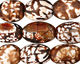 Leopard Fire Agate Faceted Rice 20-21x14-15mm