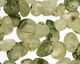Green Tourmilated Quartz Polished Pebble Drop 8-9x10-19mm