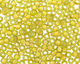TOHO Jonquil (with Apricot Lining) Round 6/0 Seed Bead