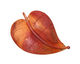 Patricia Healey Copper Sweeping Leaf Pendant 24x34mm