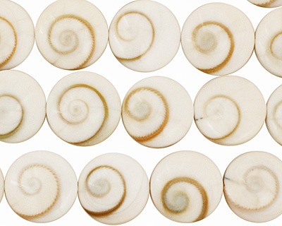 Conch Shell Puff Coin 12mm