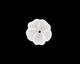 Matte Crystal Lucite Buttercup Flower 4x14mm