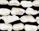 Pearly White Keishi Rice 17-23x9-10mm