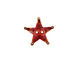 Patricia Healey Copper Star Button 17mm