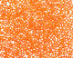 TOHO Transparent Rainbow Frosted Hyacinth Round 11/0 Seed Bead