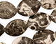 Black Tree Agate Horse Eye 20x15mm