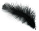 Ebony Turkey Flat Feather 100mm-152mm