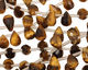 Tiger Eye Faceted Teardrop 6x9mm
