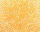 TOHO Transparent Rainbow Frosted Light Topaz Round 11/0 Seed Bead