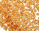 TOHO Transparent Topaz Round 8/0 Seed Bead