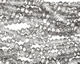 Silver & Clear Crystal Faceted Rondelle 3mm