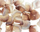 Czech Glass Luster Stormy Night 3 Petal Bellflower 9x11mm