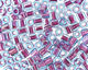 TOHO Aqua (with Purple Lining) Cube 4mm Seed Bead